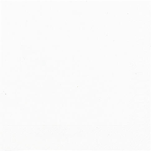 SERVIETTE 33X33CM OUATE 3 PLIS BLANC X500