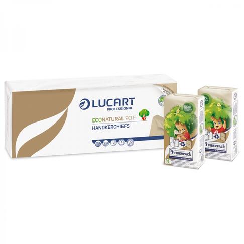 MOUCHOIR ETUIS ECONATURAL BLANC 4 PLIS 9 FORMATS ECOLABEL X240 - 2