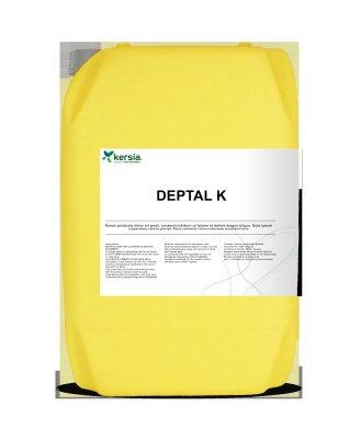 NETTOYANT ALCALIN DEPTAL K 22L