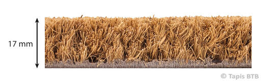 TAPIS BROSSE DENCITY PMR ERP EPAISSEUR 17MM LARGEUR 200CM X 10M ECRU ROULEAU