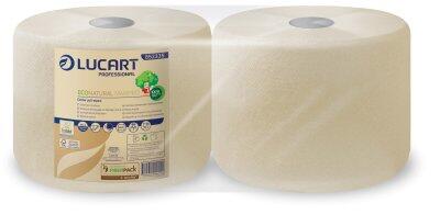 BOBINE DEVIDAGE CENTRAL ECONATURAL MAXIPRO 800 FORMATS 2 PLIS 22X30CM ECOLABEL X2