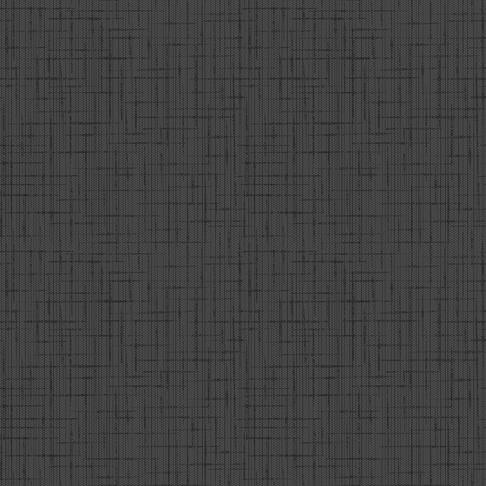 SERVIETTE 40X40CM NON TISSÉ DUNILIN NOIR X540