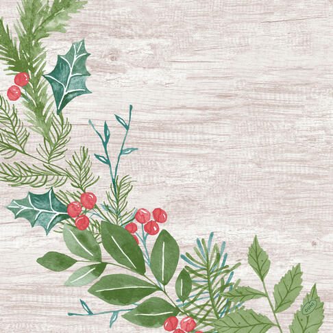 SERVIETTE 40X40CM NON TISSÉ DUNISOFT WINTER GREENE X360