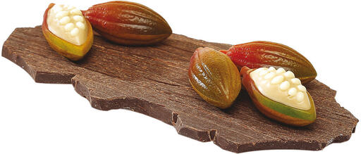 PLAQUE 275X205 POUR 24 CABOSSES CACAO