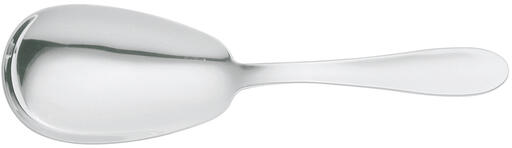 CUILLÈRE À RIZ 25,6 CM