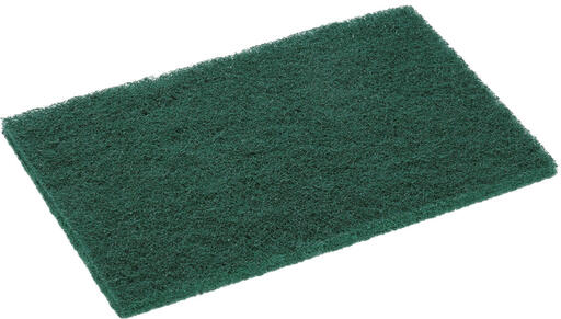TAMPON A RECURER SPONTEX 230X150MM VERT X10