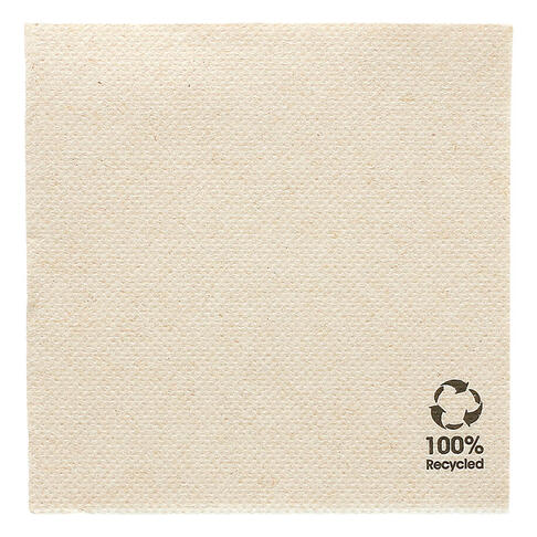 SERV 20X20 PAPIER 2PLIS KRAFT C/24X100