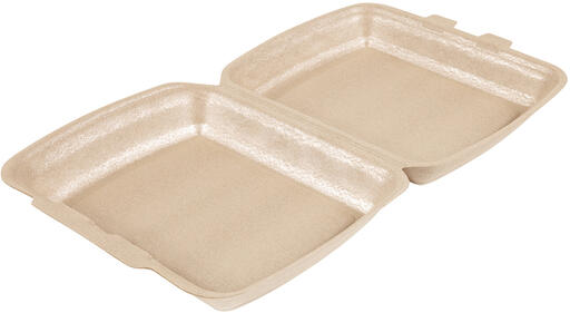 BOÎTES LUNCH EN PPE AVEC COUVERCLE ARTICULÉ 24 X 20,7 HAUTEUR 6,8 CM X130