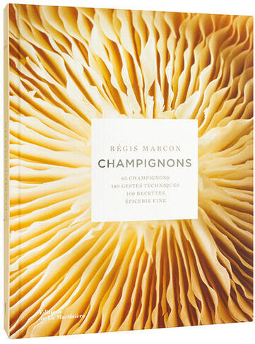 GUIDE CHAMPIGNONS 70 ESPÈCES ILLUSTRÉES EN FICHES - MATFER