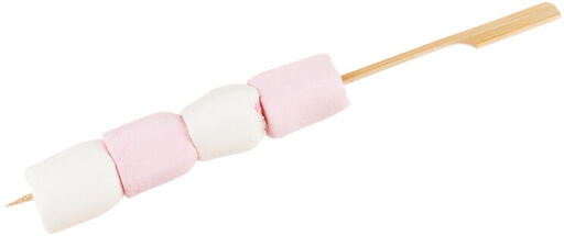 BROCHETTE BAMBOU PLATES 25CM X200 - 2