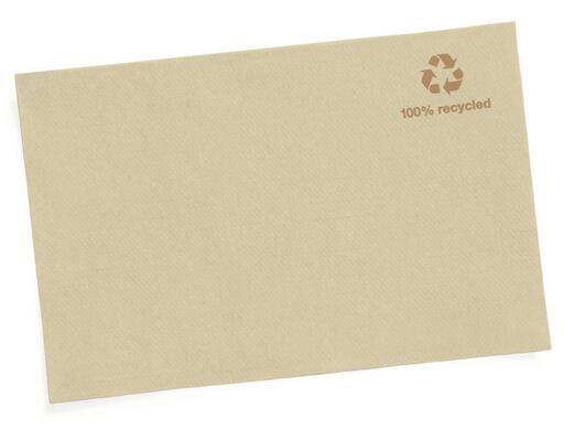 SERVIETTE POUR DISTRIBUTEUR 21.3X16.5CM TORK® XPRESSNAP® N4 1 PLI NATUREL X8000 - 3