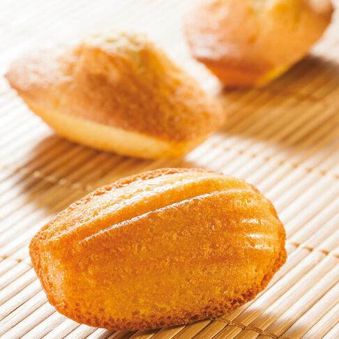 FLEXIPAN 60X40 PLAQUE DE 40 MADELEINES 7.8X4.7 CM - 2