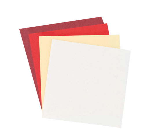 SERVIETTE 30X39CM OUATE TECHLINE 2 PLIS BLANC X2400 - 2