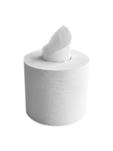 BOBINE DEVIDAGE CENTRAL BLANC 426 FORMATS 2 PLIS 19,5X30,5CM ECOLABEL X6 - 2