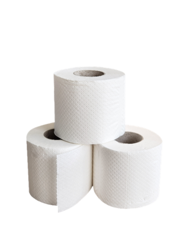 PAPIER TOILETTE PETIT ROULEAU TECHLINE POSITIVE BLANC 200 FORMATS 2 PLIS ECOLABEL X48 - 2