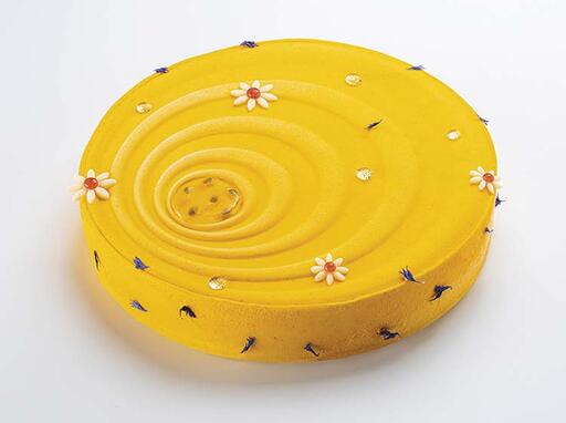 MOULE DISQUE D22CM SILICONE DECOR RELIEF TOURBILLON - 2