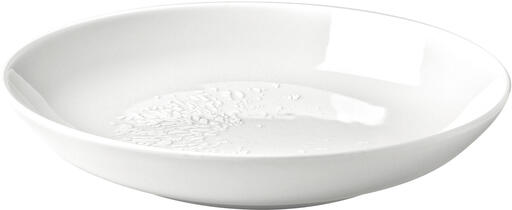 AGRUME ASSIETTE CREUSE Ø 20 CM - 2