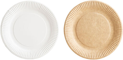 ASSIETTES CARTON BIOLINE COULEUR BLANC Ø 23 CM X600 - 2