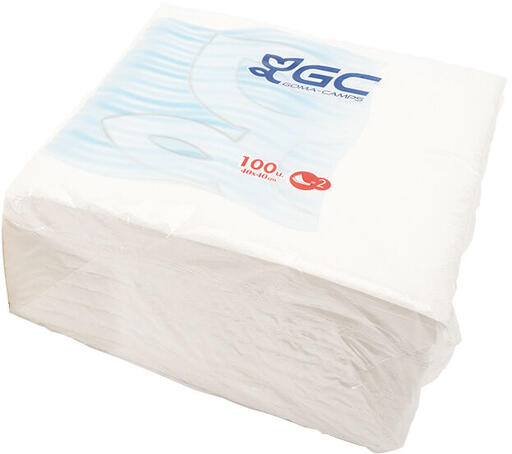 SERVIETTE 40X40CM OUATE 2 PLIS BLANC X100 - 2