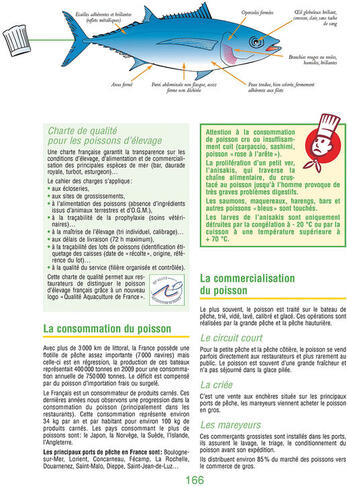 LIVRE TECHNO CULINAIRE BAC PRO - MICHEL MAINCENT-MOREL, ROBERT LABAT - 2