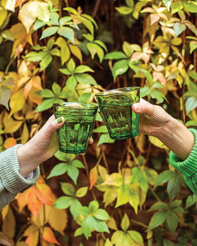 GOBELET PICARDIE 25CL VERT - 3